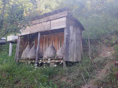 Počinje nova pčelarska godina