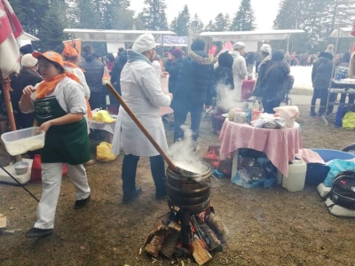 Kozara, jedna i jedina