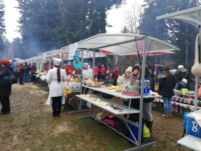 Kozara, jedna i jedina