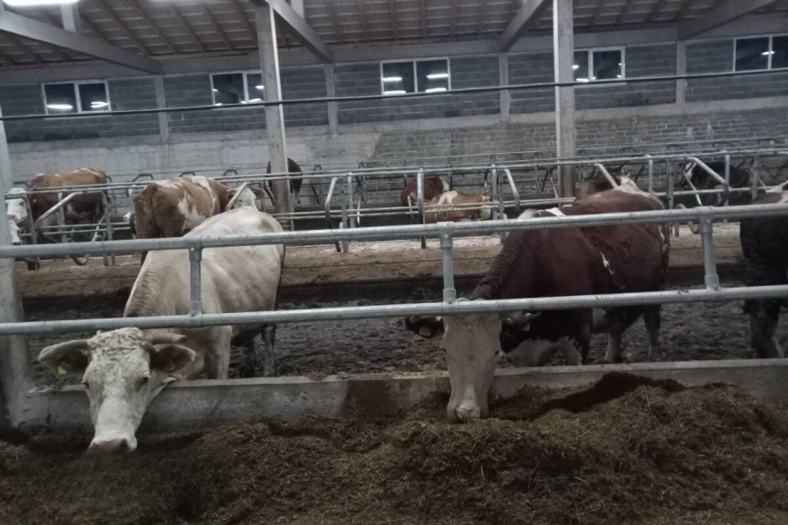 krave