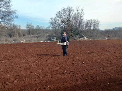 Kravica, krompir, duhan - simboli bh. grada koji je dobio ime po ženi