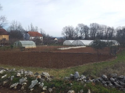 Kravica, krompir, duhan - simboli bh. grada koji je dobio ime po ženi