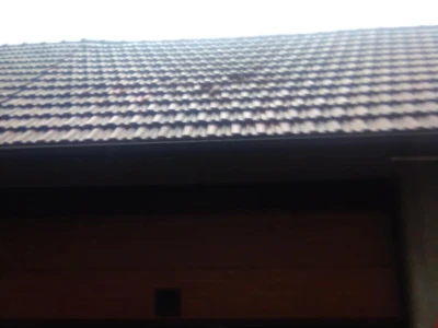 Led stukao usjeve i nasade