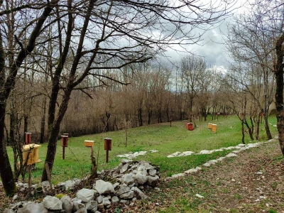 Livno: prvi pčelarski park u BiH, jedinstven i u Europi