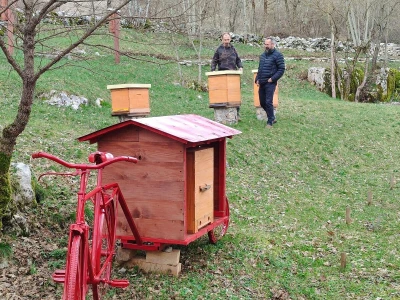 Livno: prvi pčelarski park u BiH, jedinstven i u Europi