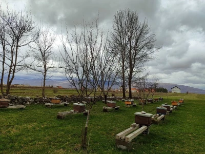 Livno: prvi pčelarski park u BiH, jedinstven i u Europi