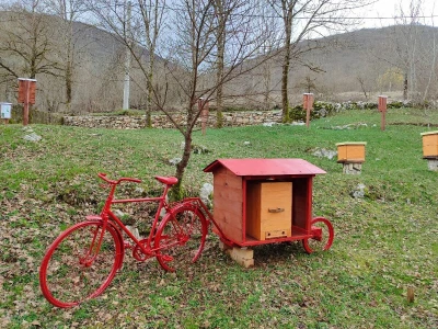 Livno: prvi pčelarski park u BiH, jedinstven i u Europi