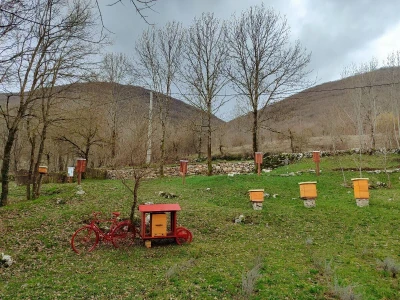 Livno: prvi pčelarski park u BiH, jedinstven i u Europi