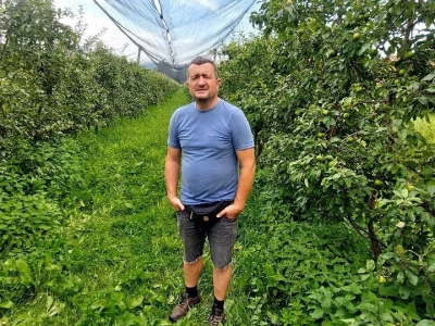 Ljetnja rezidba voća