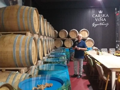 Loša godina za hercegovačke vinogradare