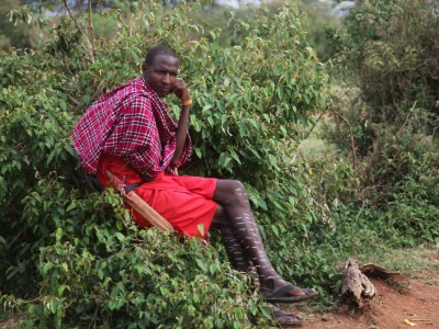 Maasai pleme