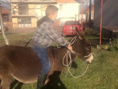 Djeca uživaju sa životinjama