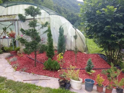 Mahir Delibašić: Moje višegodišnje ulaganje i mukotrpan rad se na kraju isplatio