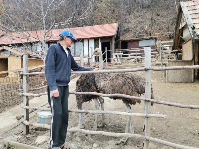Mala farma Smet u Zenici