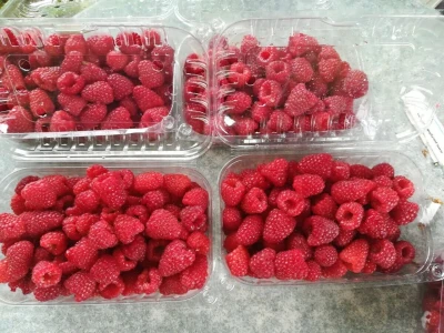 Malinarstvo