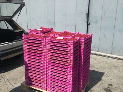 Maline