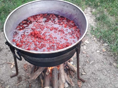 Maline