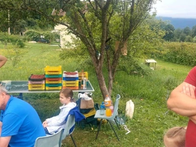 Malinjaci u Ribniku