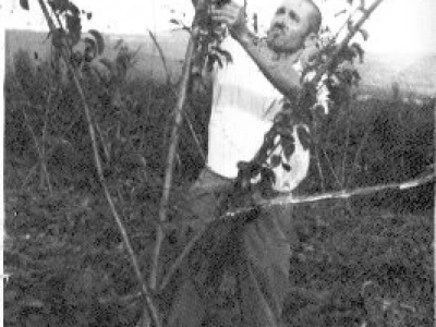 Djed Jakov Debeljak