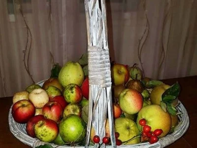 Stare sorte jabuka iz Šargovca