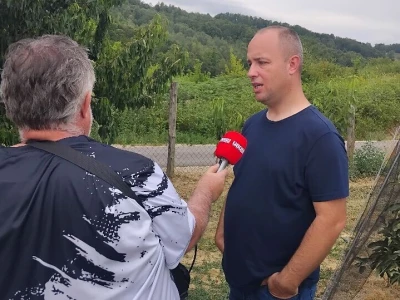 Mašina za mašinsku rezidbu voća
