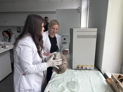Medicinske gljive