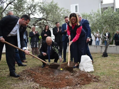 Međunarodna manifestacija maslinara i uljara Noćnjak 2022