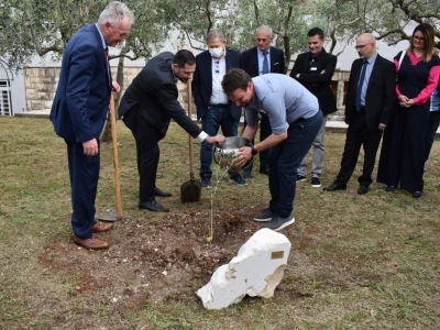 Međunarodna manifestacija maslinara i uljara Noćnjak 2022