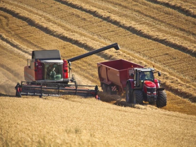 Kombajn Massey Ferguson Kombajni MF Beta