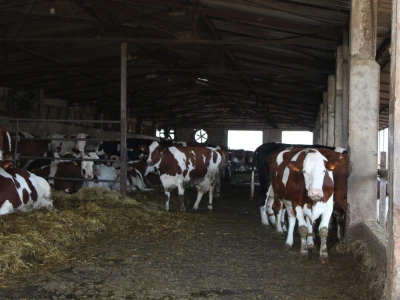 Milk taksi nove generacije stigao na PD "Semberija"