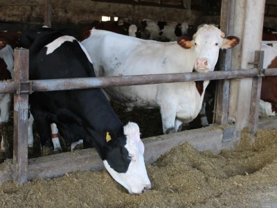 Milk taksi nove generacije stigao na PD "Semberija"