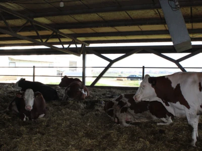 Milk taksi nove generacije stigao na PD "Semberija"