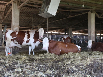 Milk taksi nove generacije stigao na PD "Semberija"