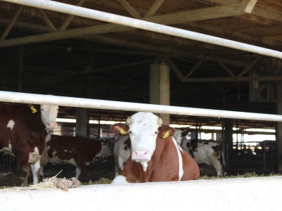 Milk taksi nove generacije stigao na PD "Semberija"