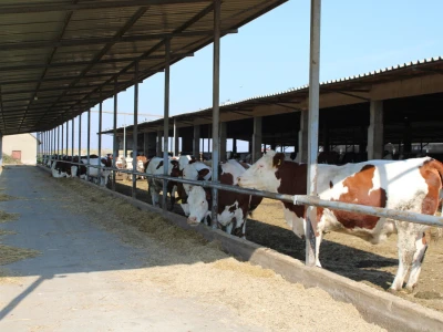 Milk taksi nove generacije stigao na PD "Semberija"