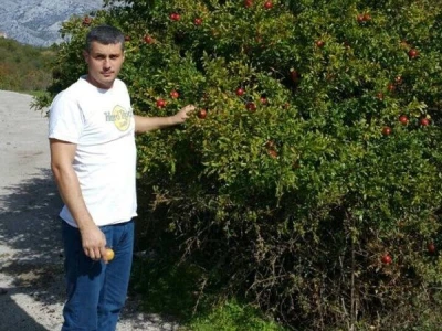 Milošev sok od divljeg nara tražen u cijelom regionu