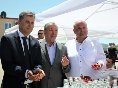 Ministar Dedić otvorio Dan mediteranskog voća