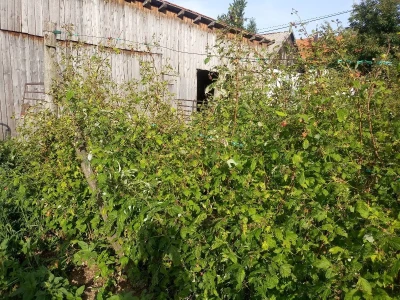 Mještani Dražev Doca sumiraju štete od grada