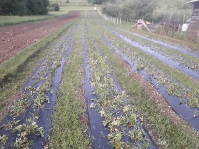 Mještani sela Boljkovac i Dobrošin gledali kako u nekoliko minuta nestaje sav njihov trud