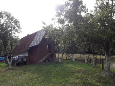 Mrka medvedica usmrtila ovce u novogradskom selu Prusci