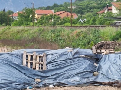 Mstarski pčelari zabrinuti zbog uginuća pčela