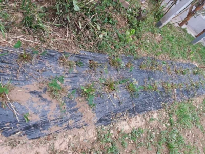 Muharem Ramljak: Zahvalni smo Adnanu na pomoći, vraća nadu u dobre ljude