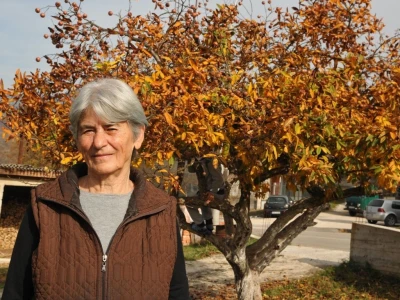 MUŠMULA