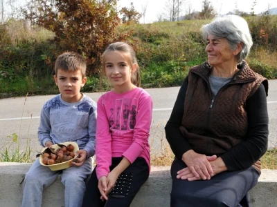 MUŠMULA