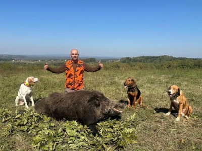 Na Duškov nišan pao vepar kapitalac od 192 kg