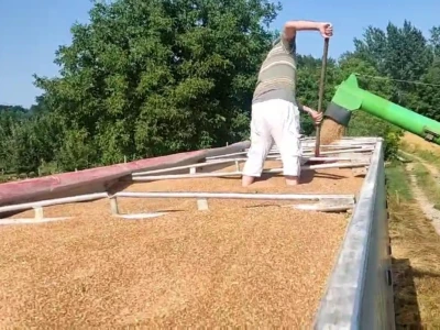Na vakufskim parcelama, požnjeveno 47 tona pšenice