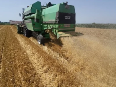 Na vakufskim parcelama, požnjeveno 47 tona pšenice
