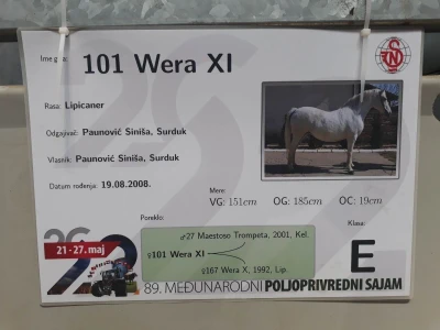 Nagrađivani konji Siniše Paunovića iz Surduka