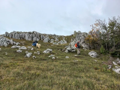 Naše trave interesantne i za istraživače sa Novog zelanda