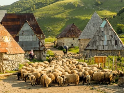 Našem Dragi srce kao Kozara: Nigdje nema ljepših sela